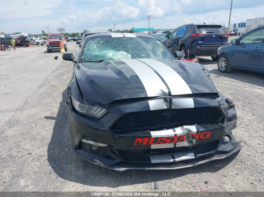 2017 Ford Mustang V6 VIN: 1FA6P8AM0H5229689 Lot: 12043138