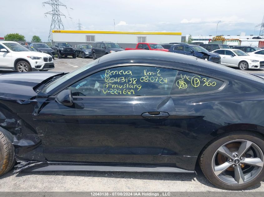 2017 Ford Mustang V6 VIN: 1FA6P8AM0H5229689 Lot: 12043138