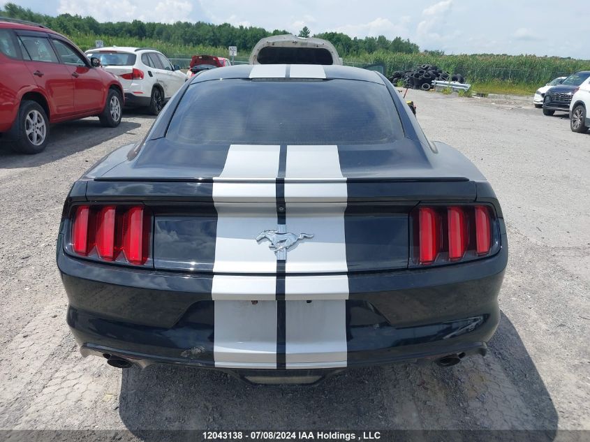 2017 Ford Mustang V6 VIN: 1FA6P8AM0H5229689 Lot: 12043138