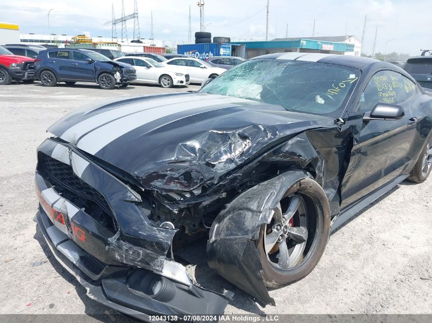 2017 Ford Mustang V6 VIN: 1FA6P8AM0H5229689 Lot: 12043138