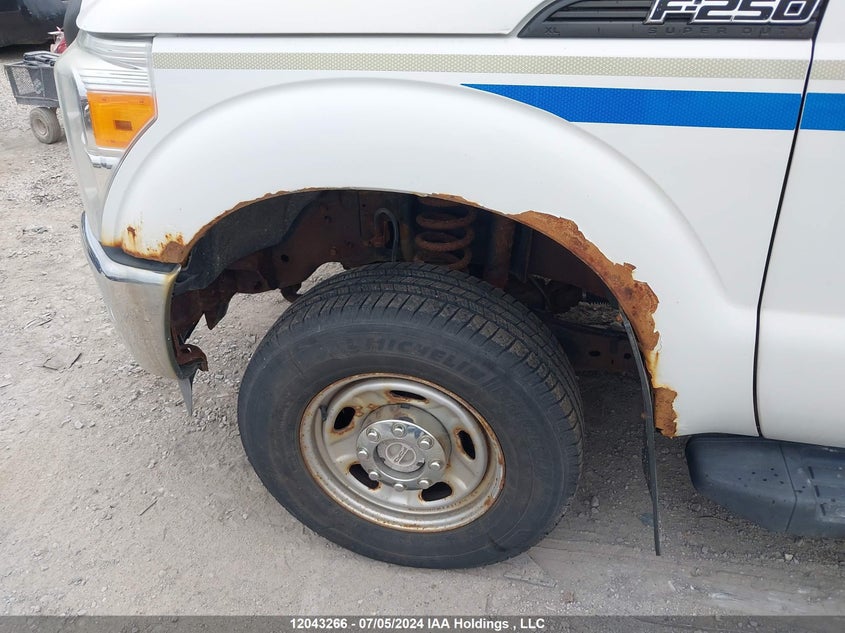 2011 Ford F250 Super Duty VIN: 1FT7X2B60BEC49573 Lot: 12043266