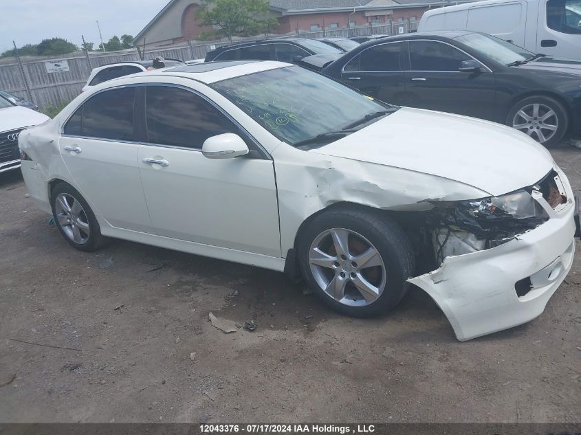 2008 Acura Tsx VIN: JH4CL96838C801293 Lot: 12043376