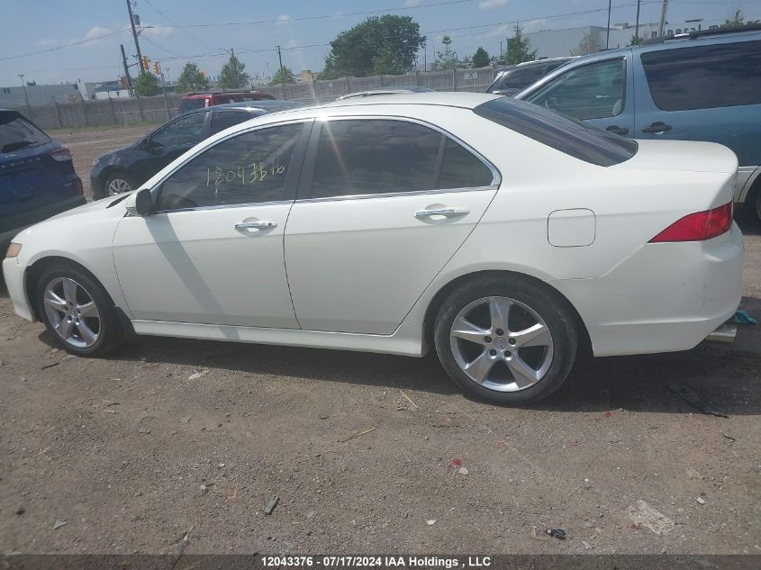 2008 Acura Tsx VIN: JH4CL96838C801293 Lot: 12043376