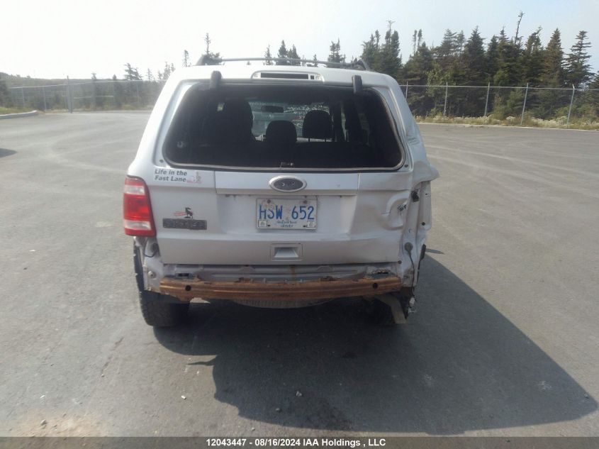 2010 Ford Escape VIN: 1FMCU0D77AKC69882 Lot: 12043447