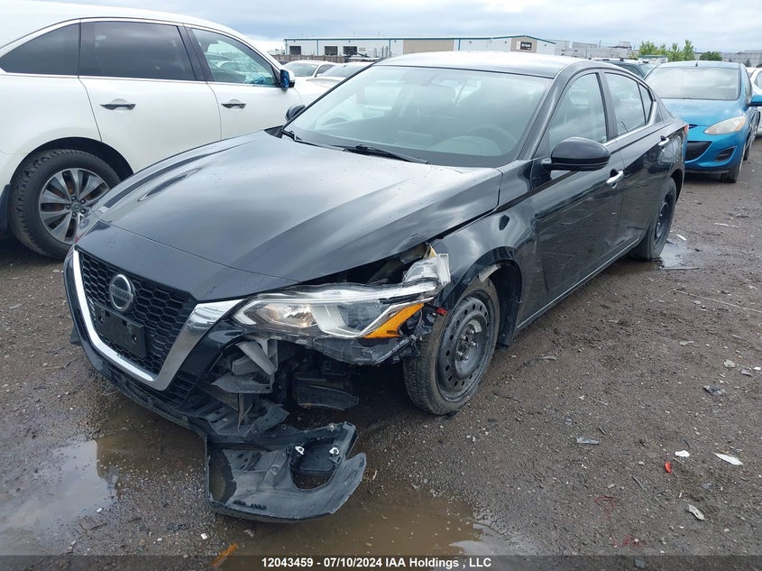 2020 Nissan Altima VIN: 1N4BL4BW7LN303878 Lot: 12043459