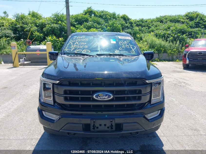 2023 Ford F150 Supercrew VIN: 1FTEW1EP6PKD95025 Lot: 12043465