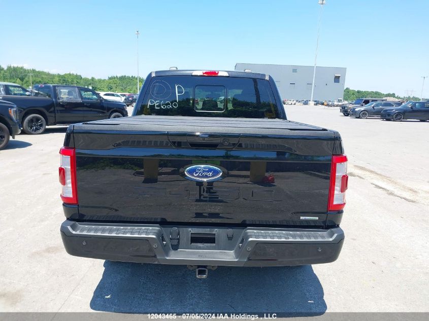 2023 Ford F150 Supercrew VIN: 1FTEW1EP6PKD95025 Lot: 12043465