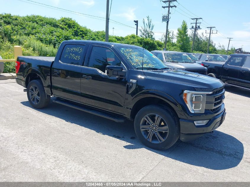 2023 Ford F150 Supercrew VIN: 1FTEW1EP6PKD95025 Lot: 12043465