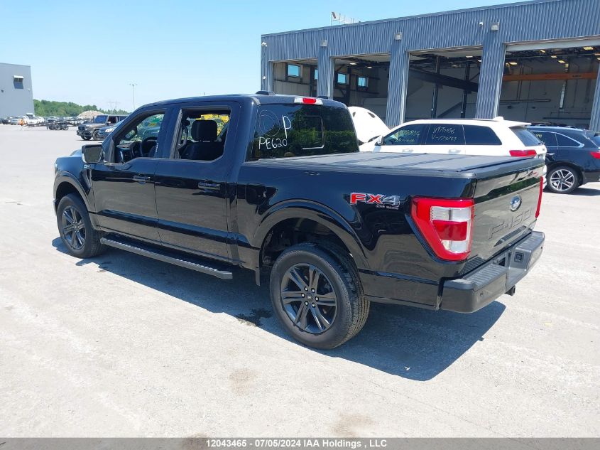 2023 Ford F150 Supercrew VIN: 1FTEW1EP6PKD95025 Lot: 12043465