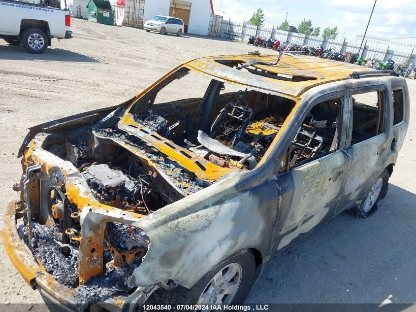 2011 Honda Pilot VIN: 5FNYF4H50BB506392 Lot: 12043540