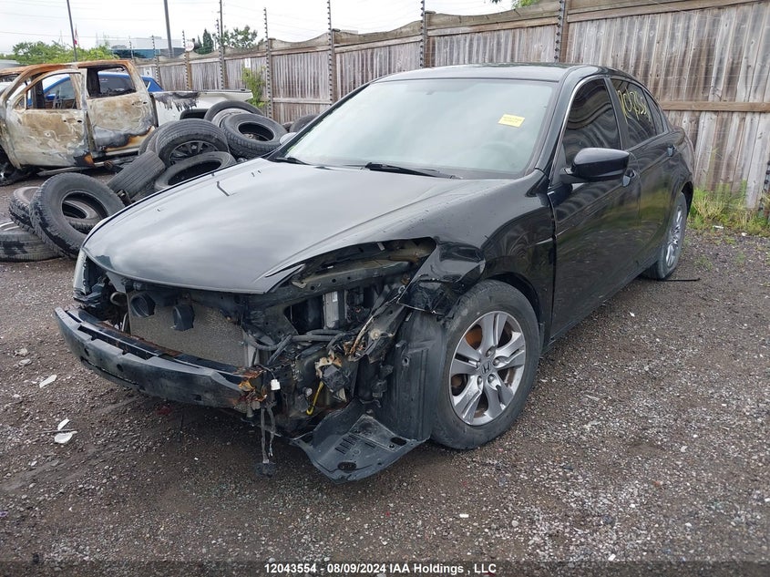 2011 Honda Accord Sedan VIN: 1HGCP2F60BA801509 Lot: 12043554