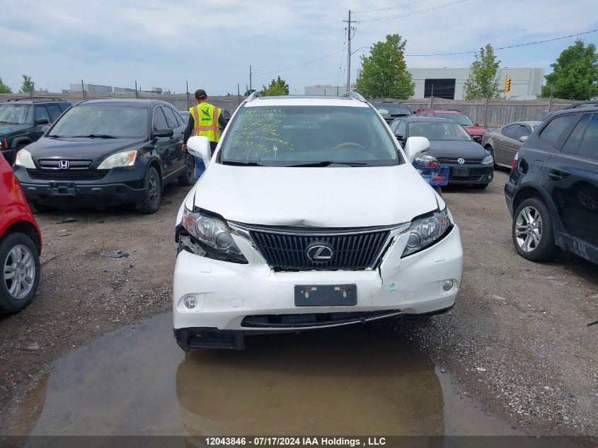 2010 Lexus Rx 350 VIN: 2T2BK1BA9AC016117 Lot: 12043846