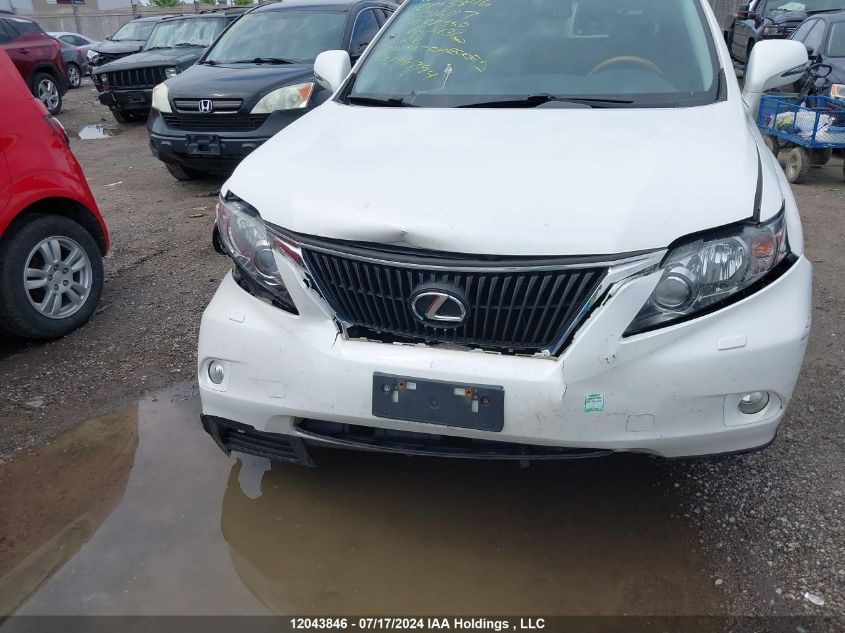 2010 Lexus Rx 350 VIN: 2T2BK1BA9AC016117 Lot: 12043846