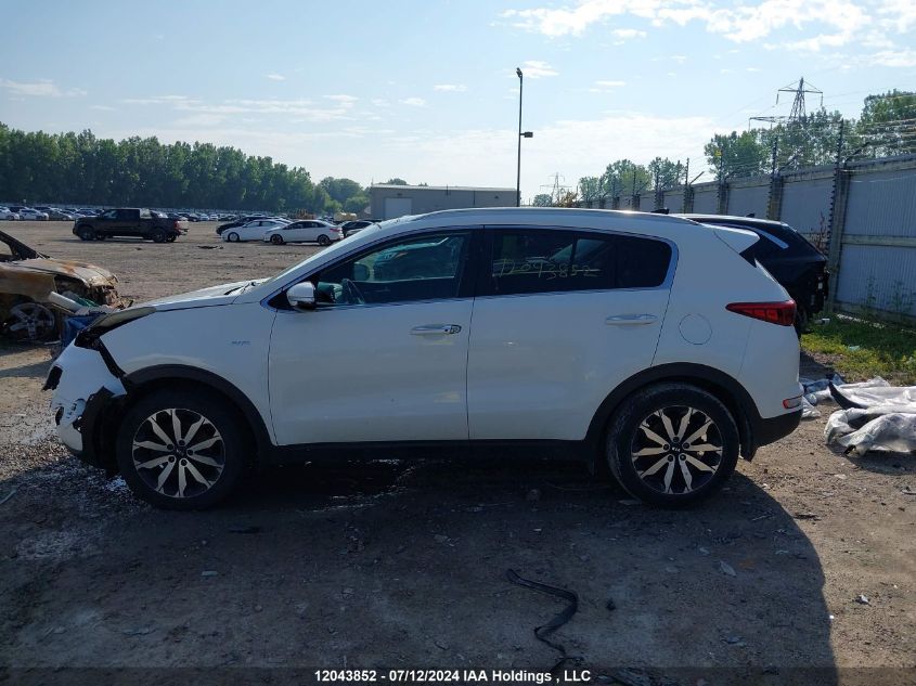 2017 Kia Sportage VIN: KNDPNCAC8H7260997 Lot: 12043852