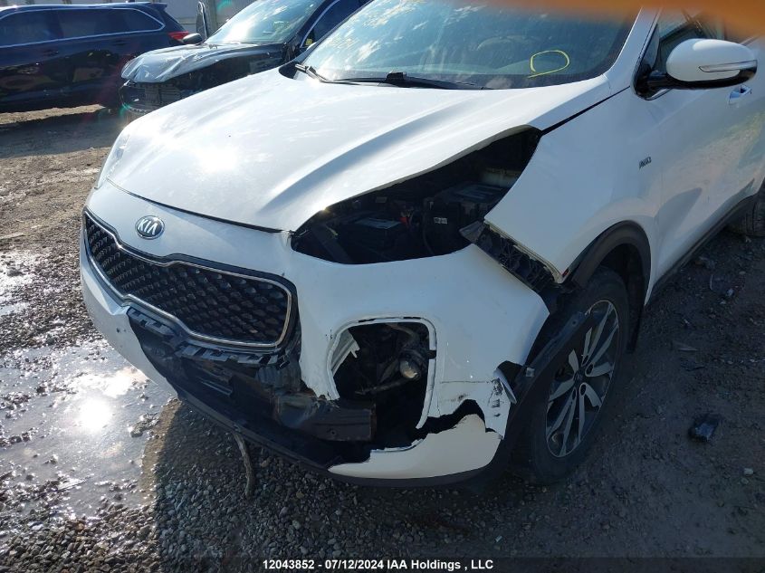 2017 Kia Sportage VIN: KNDPNCAC8H7260997 Lot: 12043852