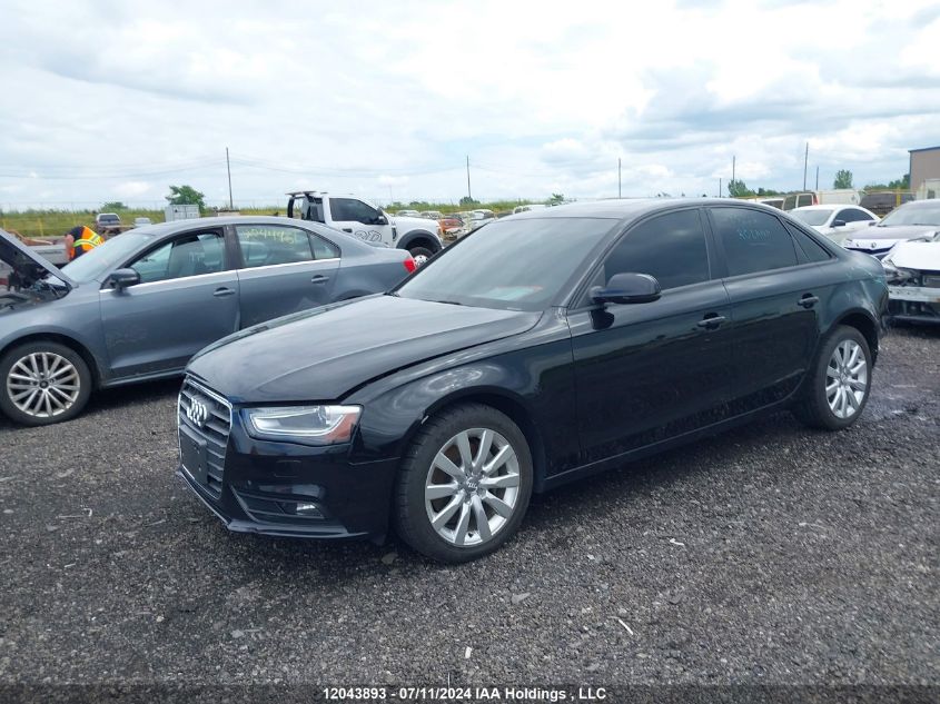 2014 Audi A4 VIN: WAUAFCFLXEN037800 Lot: 12043893