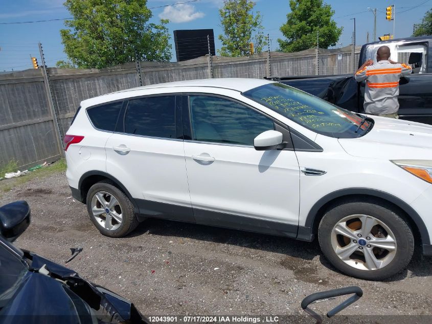 2013 Ford Escape VIN: 1FMCU0GX4DUD89658 Lot: 12043901