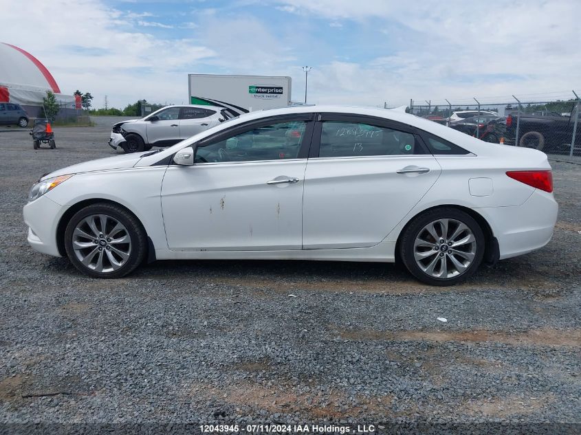 2013 Hyundai Sonata 2.0T Limited VIN: 5NPEC4ABXDH536547 Lot: 12043945