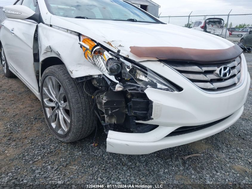 2013 Hyundai Sonata 2.0T Limited VIN: 5NPEC4ABXDH536547 Lot: 12043945