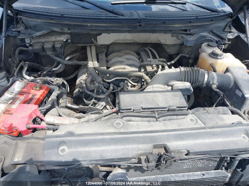 2013 Ford F-150 Xlt VIN: 1FTFW1EF3DKD74592 Lot: 12044060