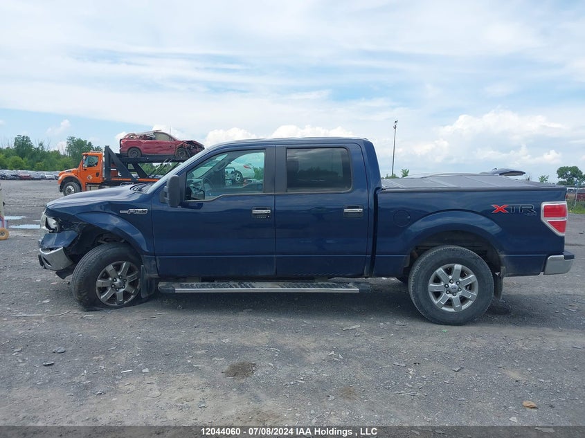 2013 Ford F-150 Xlt VIN: 1FTFW1EF3DKD74592 Lot: 12044060