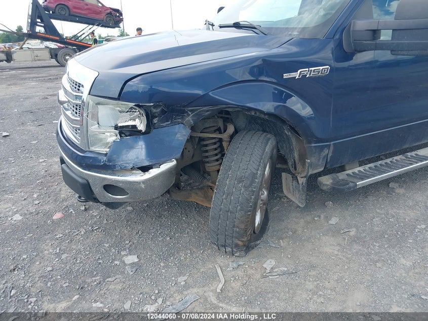 2013 Ford F-150 Xlt VIN: 1FTFW1EF3DKD74592 Lot: 12044060