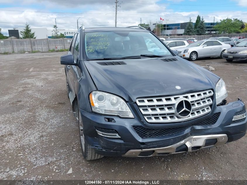 4JGBB2FB6BA662455 2011 Mercedes-Benz Ml-Class