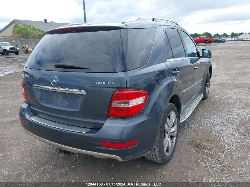 4JGBB2FB6BA662455 2011 Mercedes-Benz Ml-Class