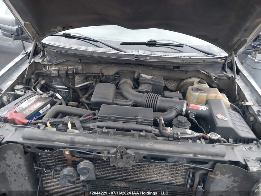 2009 Ford F-150 Lariat/Xl/Xlt VIN: 1FTPX14V39FA30948 Lot: 12044229