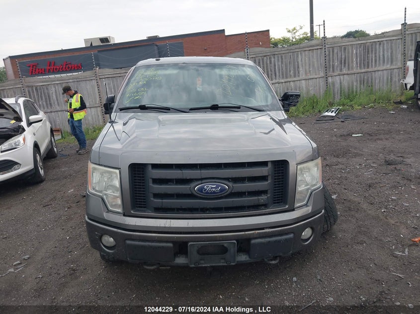 2009 Ford F-150 Lariat/Xl/Xlt VIN: 1FTPX14V39FA30948 Lot: 12044229