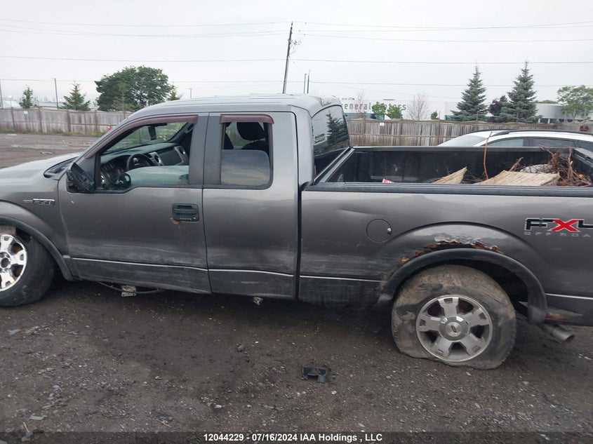 2009 Ford F-150 Lariat/Xl/Xlt VIN: 1FTPX14V39FA30948 Lot: 12044229