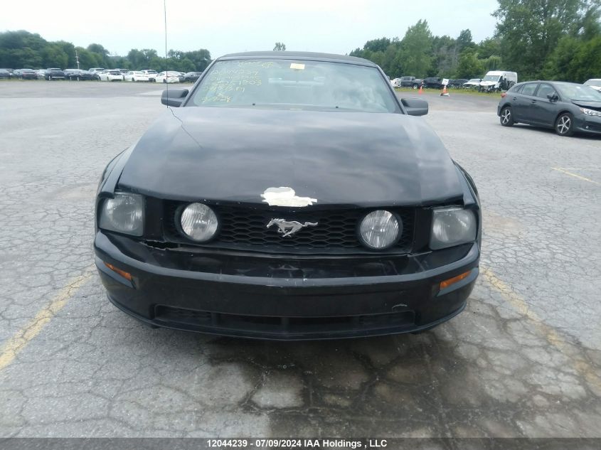 2006 Ford Mustang VIN: 1ZVFT85H965251803 Lot: 12044239