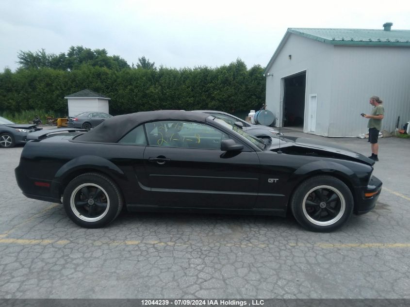 2006 Ford Mustang VIN: 1ZVFT85H965251803 Lot: 12044239