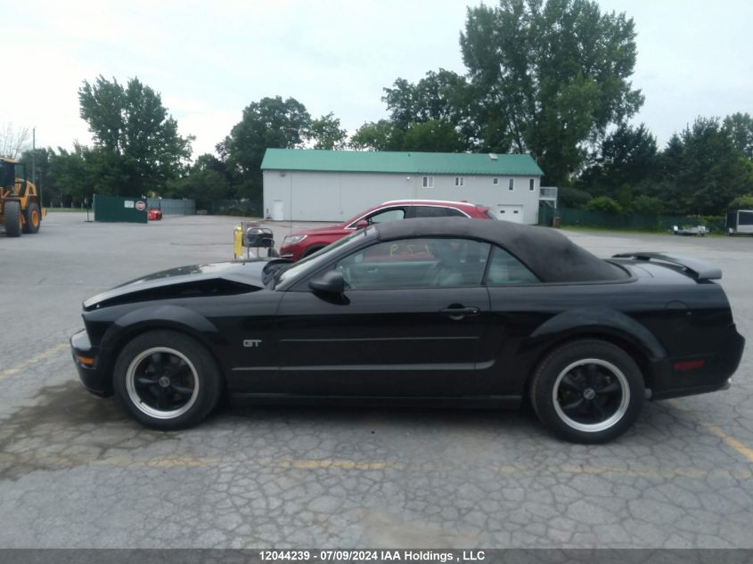 2006 Ford Mustang VIN: 1ZVFT85H965251803 Lot: 12044239