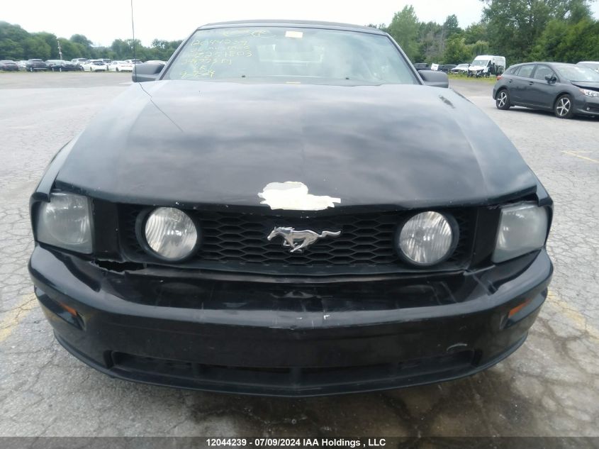 2006 Ford Mustang VIN: 1ZVFT85H965251803 Lot: 12044239