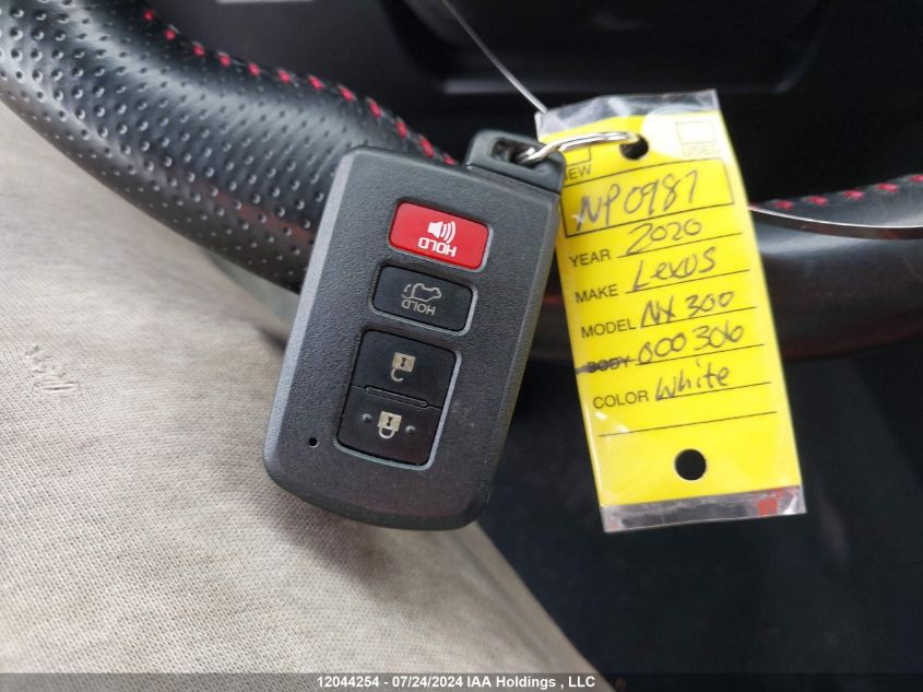 2020 Lexus Nx 300 VIN: JTJSARDZ1L5000306 Lot: 12044254