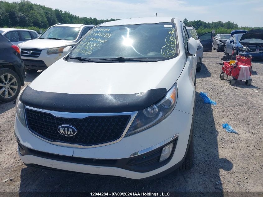 2016 Kia Sportage Lx VIN: KNDPB3AC5G7818330 Lot: 12044284