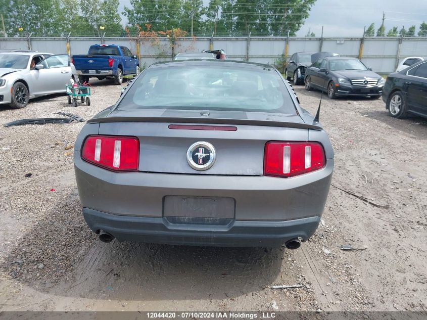2011 Ford Mustang VIN: 1ZVBP8AM6B5170094 Lot: 12044420