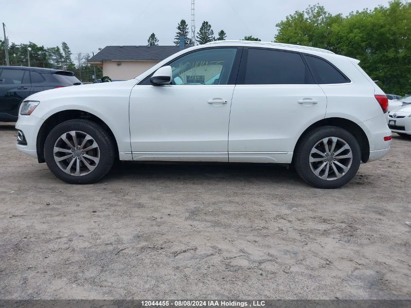 2014 Audi Q5 VIN: WA1LFCFP7EA025698 Lot: 12044455