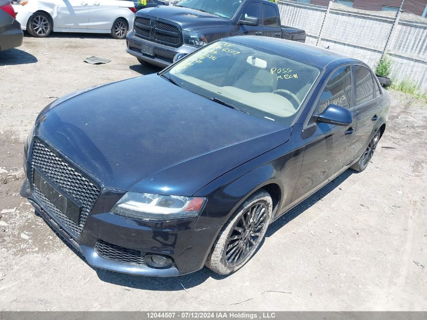 2009 Audi A4 VIN: WAULF68K29N052392 Lot: 12044507