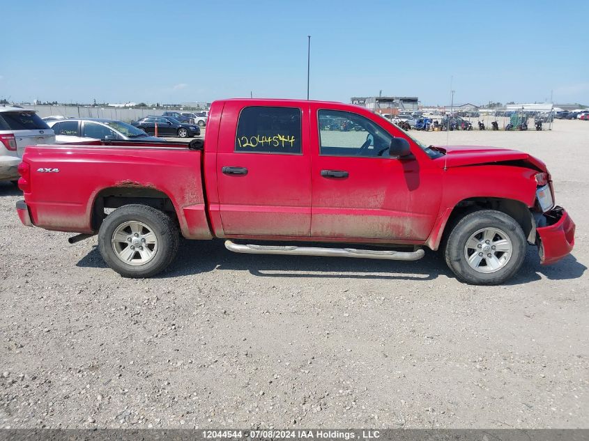 2008 Dodge Dakota Sxt VIN: 1D7HW38K68S624254 Lot: 12044544