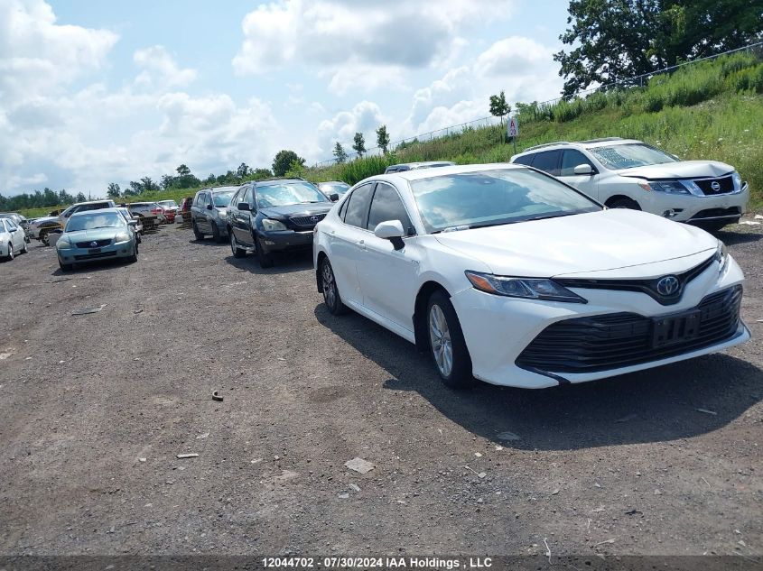 4T1B31HK8KU513984 2019 TOYOTA CAMRY - Image 1