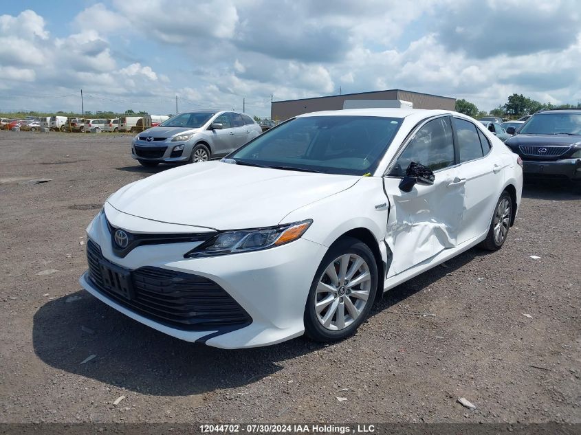 4T1B31HK8KU513984 2019 TOYOTA CAMRY - Image 2