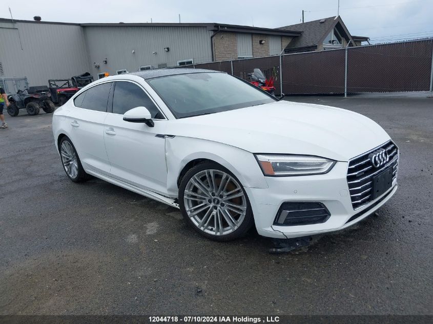 2019 Audi A5 Sportback VIN: WAUANCF50KA080131 Lot: 12044718