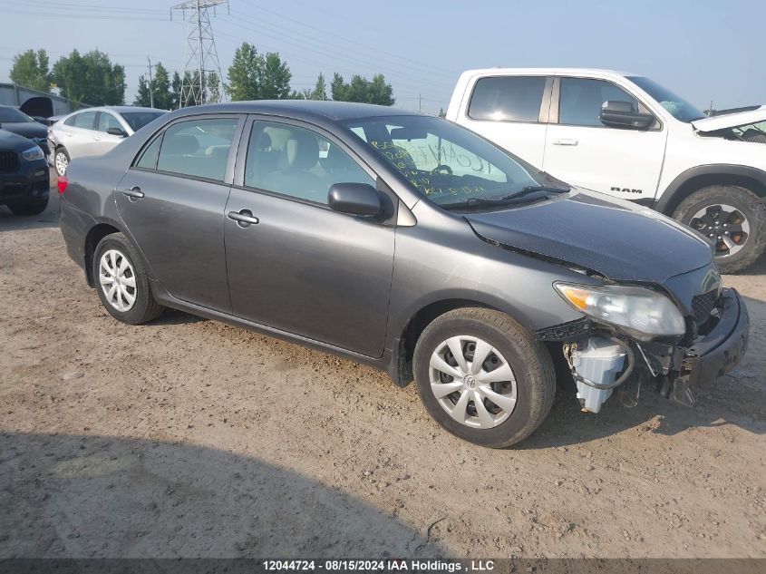 2010 Toyota Corolla VIN: 2T1BU4EE9AC219863 Lot: 12044724