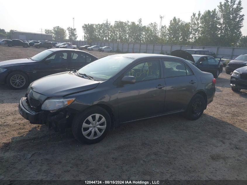 2010 Toyota Corolla VIN: 2T1BU4EE9AC219863 Lot: 12044724