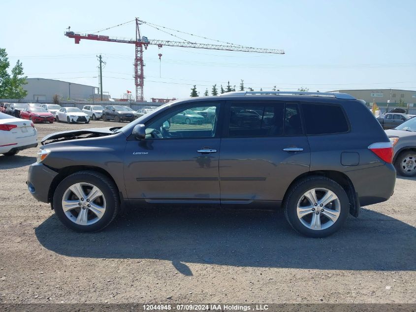 2008 Toyota Highlander Limited VIN: JTEES42A382002902 Lot: 12044945