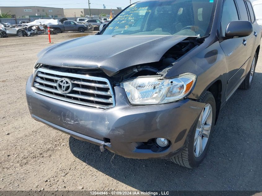 2008 Toyota Highlander Limited VIN: JTEES42A382002902 Lot: 12044945