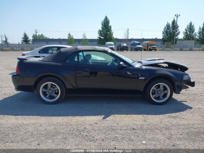 2003 Ford Mustang Gt VIN: 1FAFP45X53F428432 Lot: 12045056