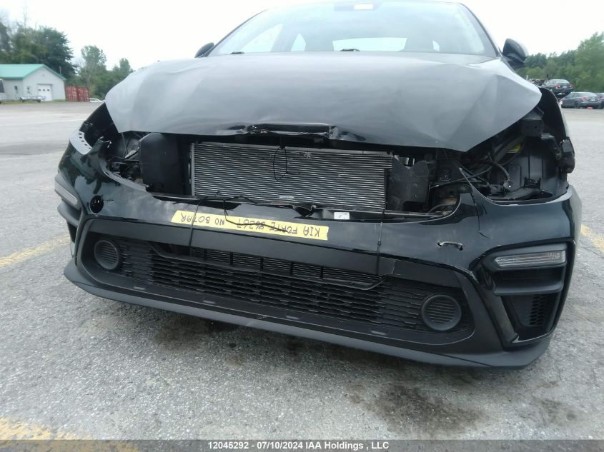 2020 Kia Forte VIN: 3KPF24ADXLE244179 Lot: 12045292